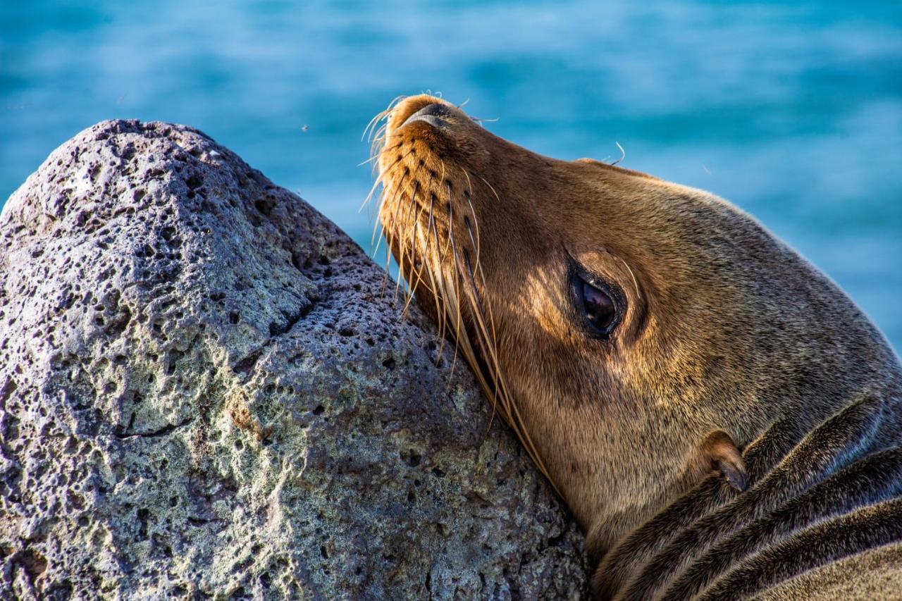 Finch Bay Galapagos Hotel Puerto Ayora  Exteriér fotografie
